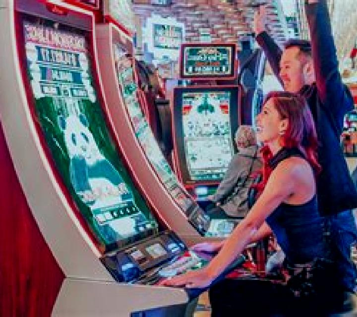 Paddy Paws 2000 online slot