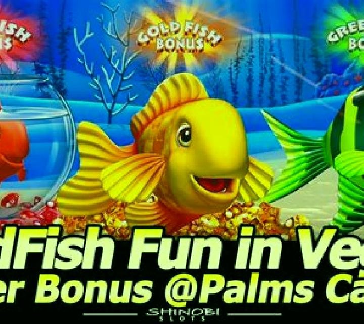 Paddy s Gold slot game