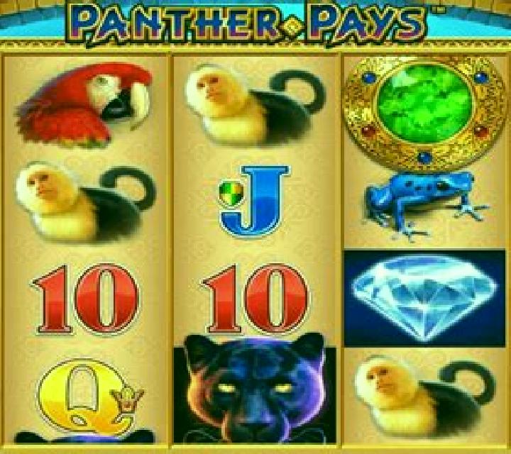 Paleo Pays slot machine