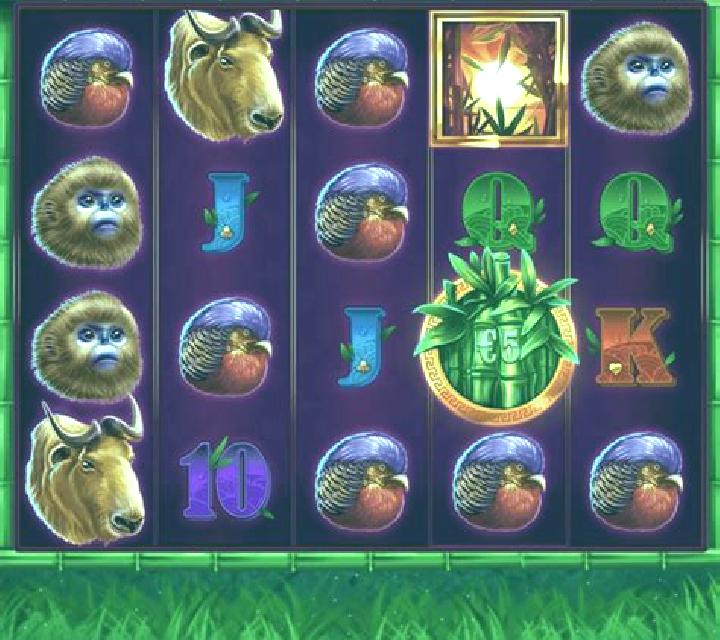 Panda Bills online slot