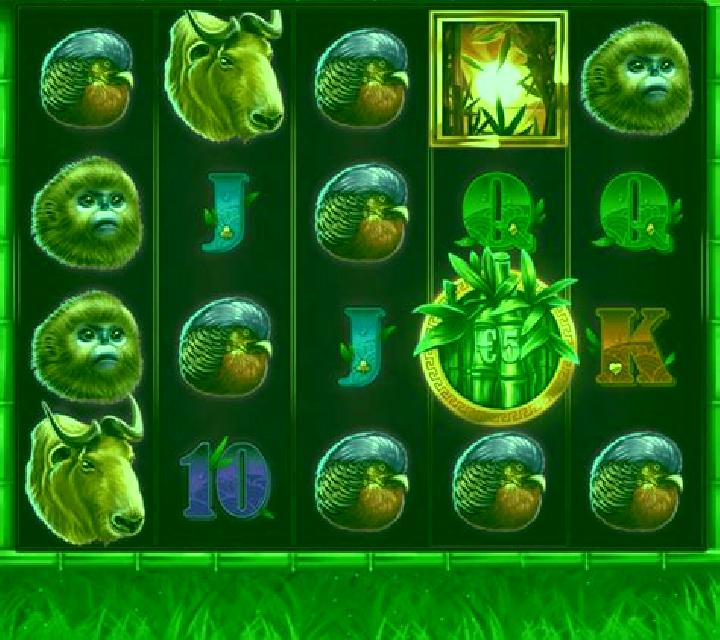 Panda Bills slot game
