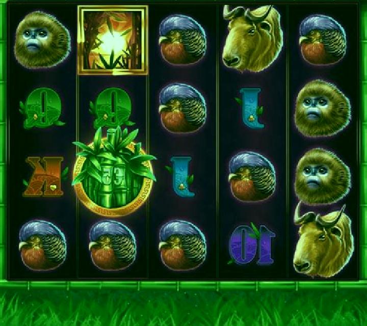 Panda Bills slot machine