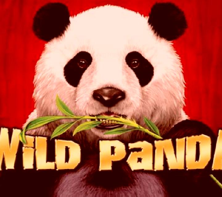 Panda Goes Wild slot machine