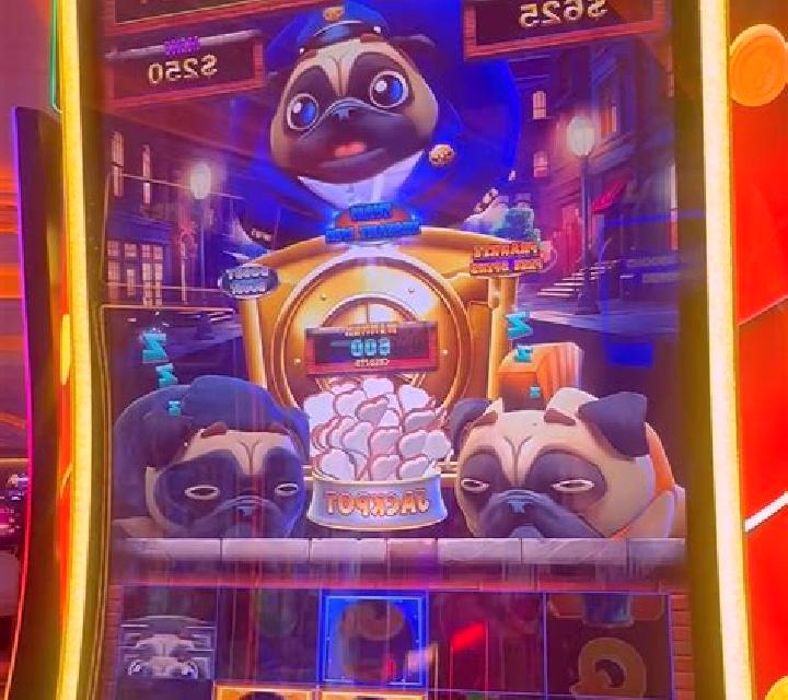 Panda Payday slot game