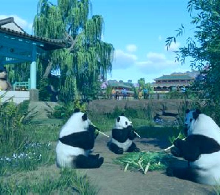 Panda Planet online slot