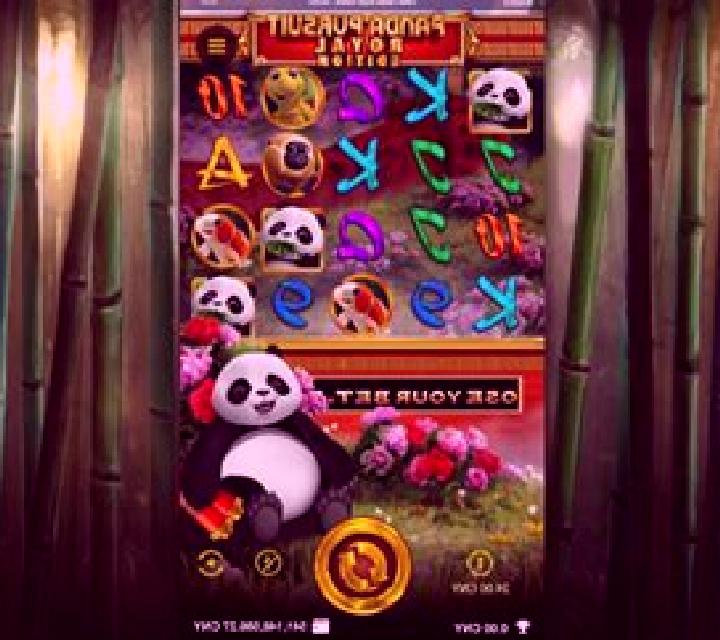 Panda Show Slots slot game