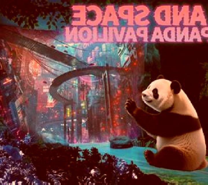 Panda Time online slot