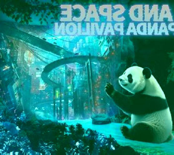 Panda Time slot game