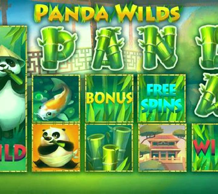 Panda Wilds slot game
