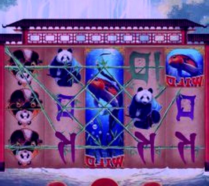 Pandas Go Wild slot