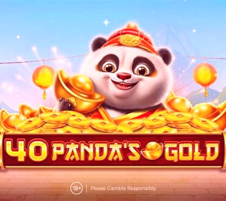 Panda s Gold (RTG) online slot