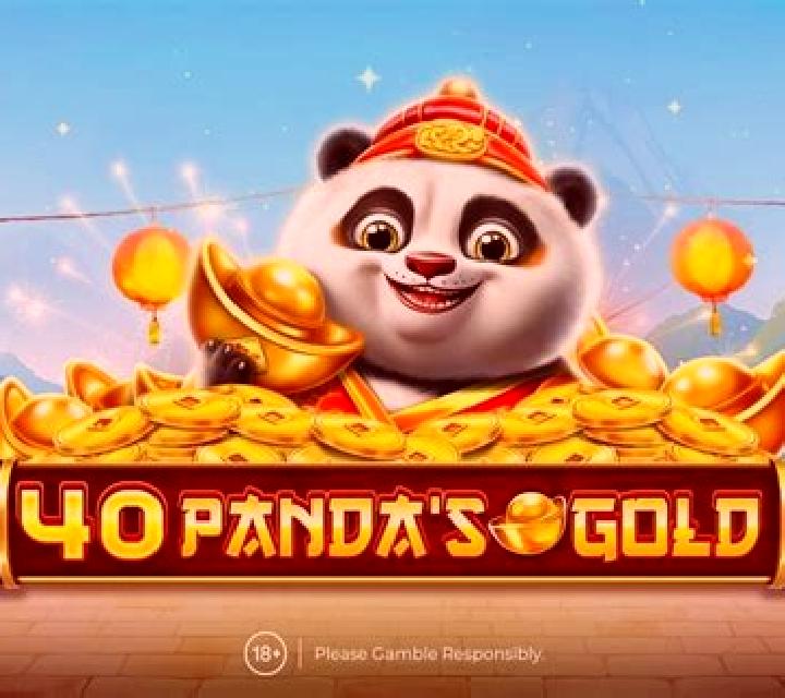 Panda s Gold (RTG) slot game