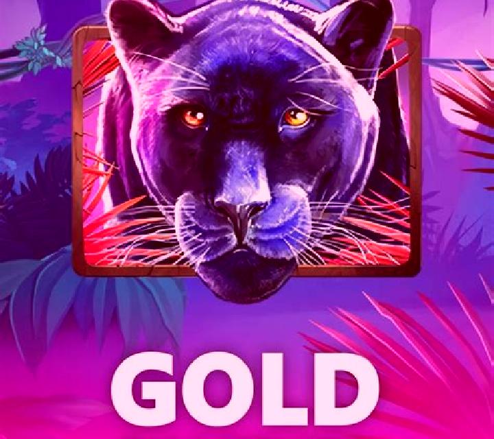 Panther Pays slot game