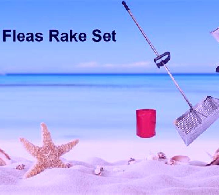 Paradise Beach (Red Rake) slot