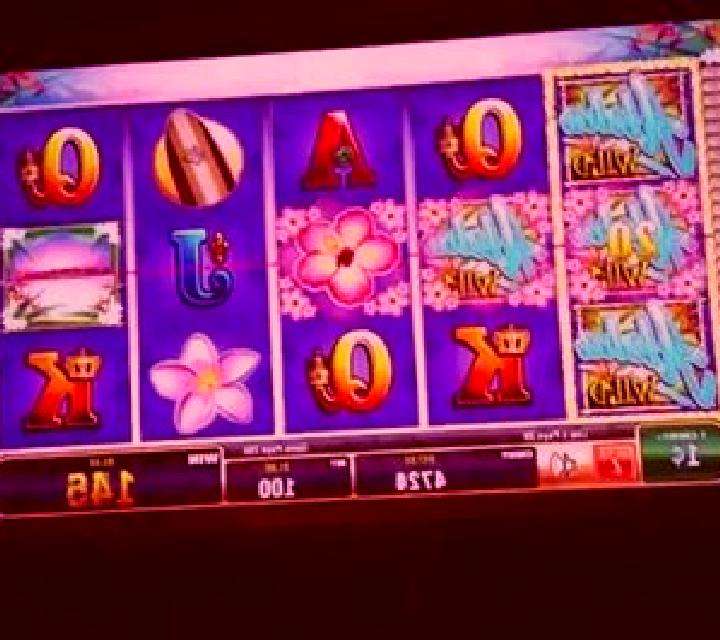 Paradise Delight slot machine