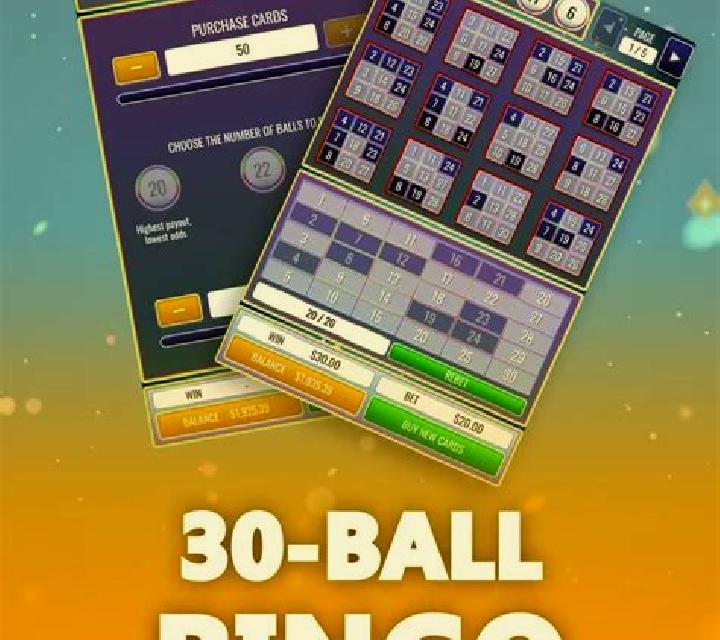 Park Bingo slot game
