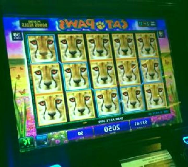 Party Paws slot machine