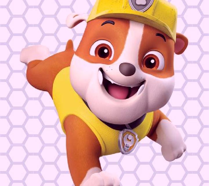 Paw Pack Assembl em slot game