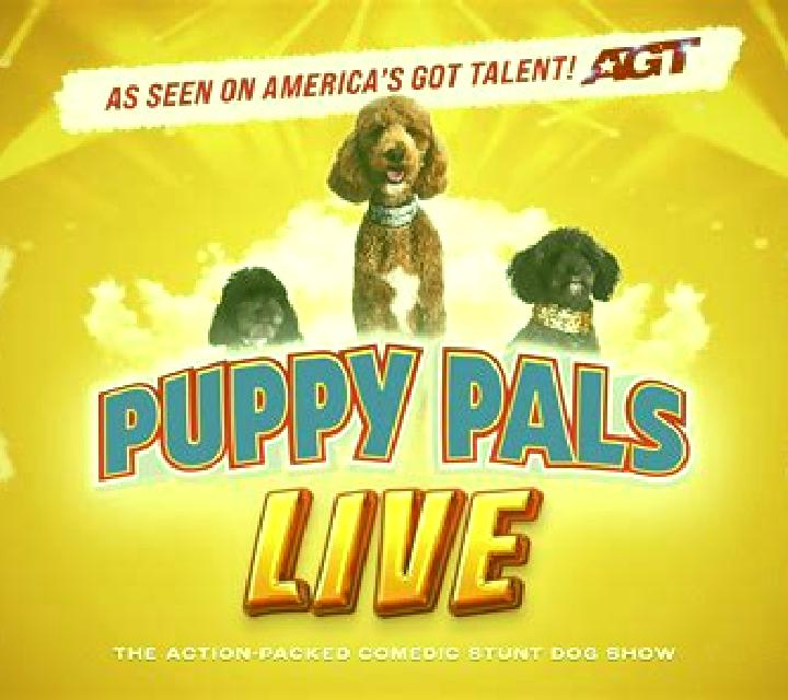 Paw Pals online slot