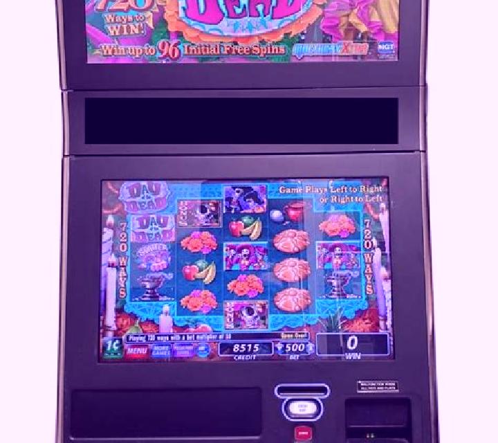 Pay of the Dead slot machine