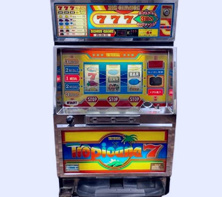 Payload 7x slot machine