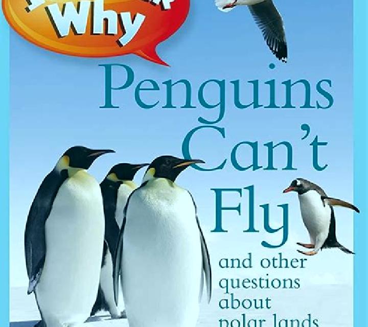 Penguins Can Fly slot game