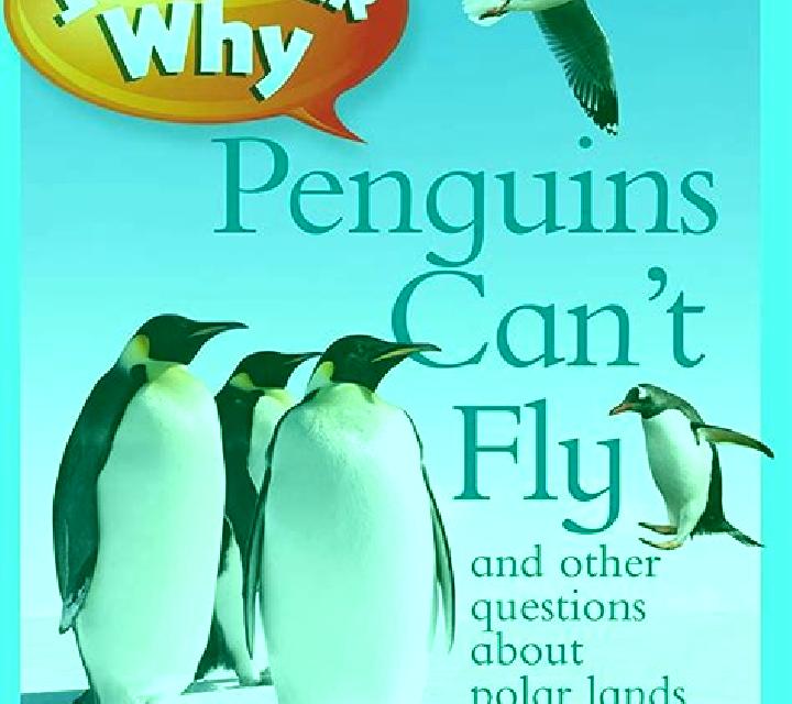 Penguins Can Fly slot machine