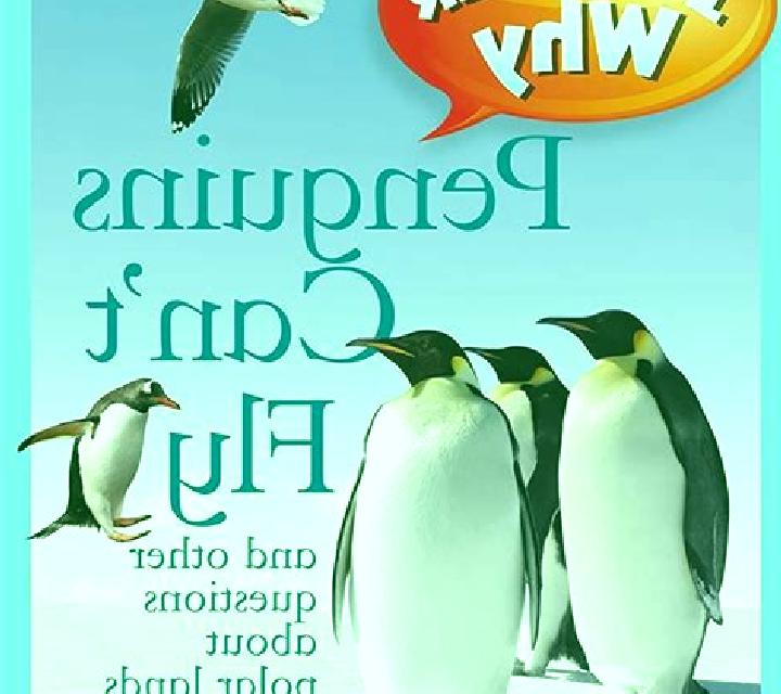 Penguins Can Fly slot