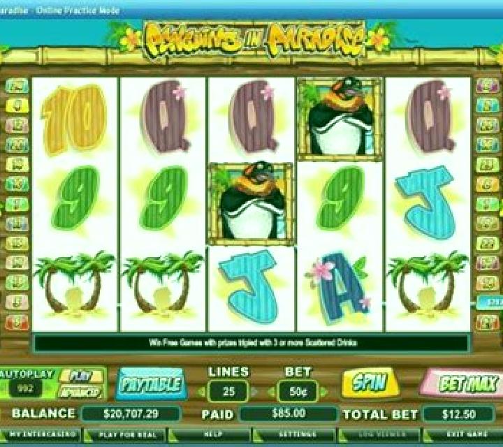 Penguins in Paradise slot machine