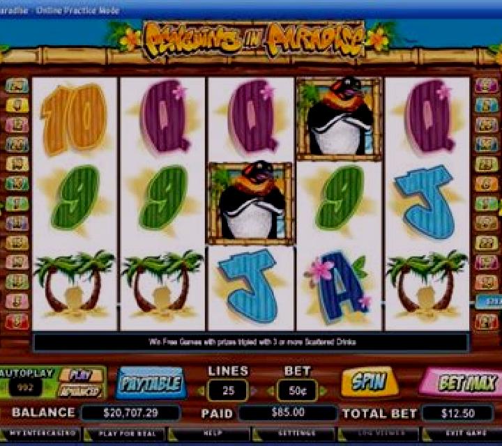 Penguins in Paradise slot