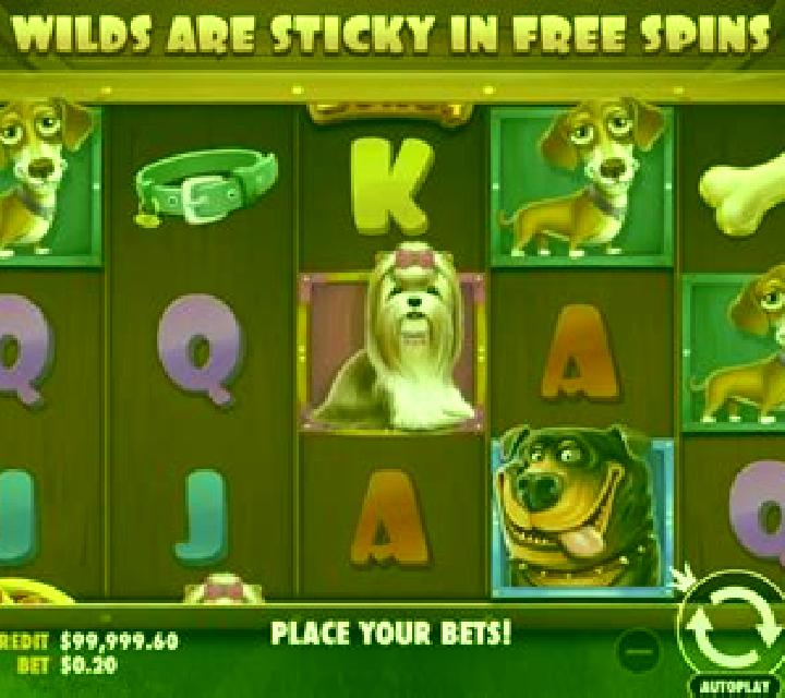 Pet House online slot