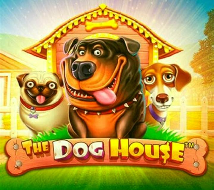 Pet House slot game