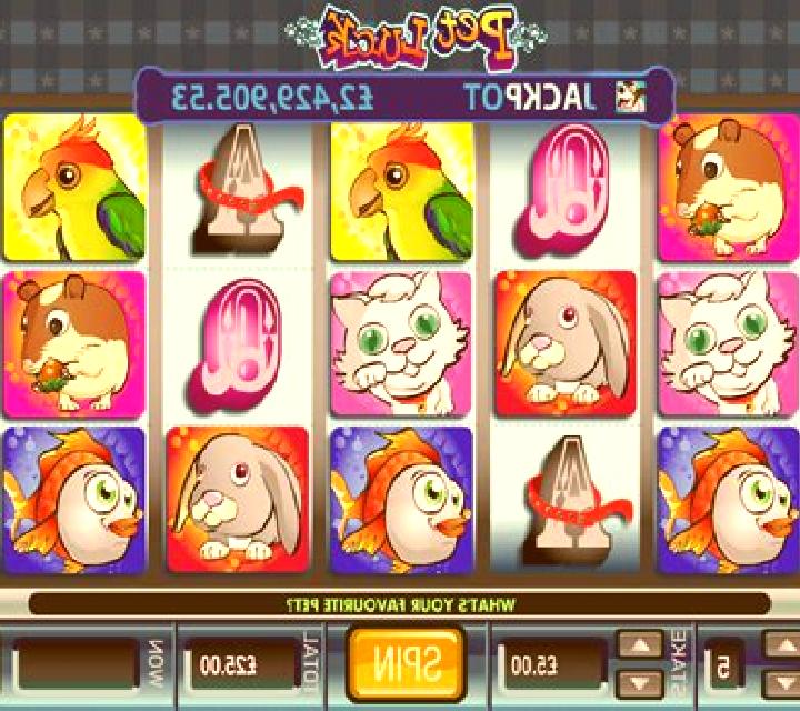 Pet Luck slot game