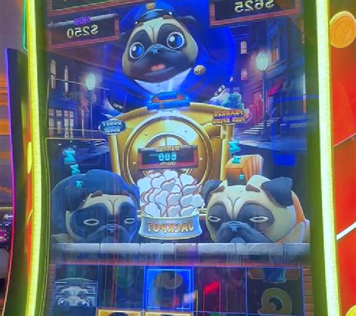 Pets Payday slot machine