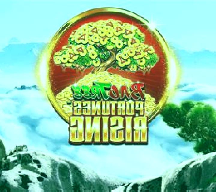 Phoenix Queen (Skywind Group) slot game