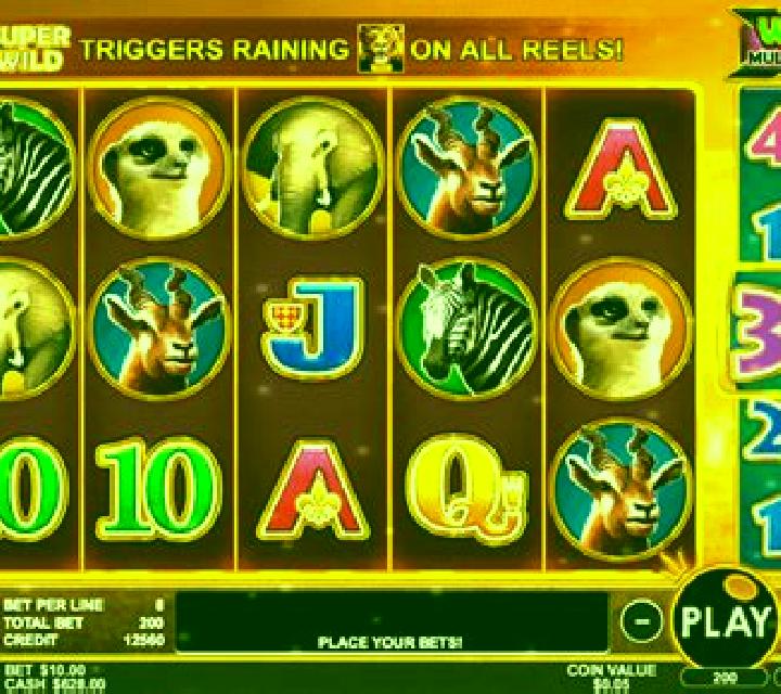 Photo Safari slot