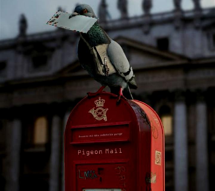 Pigeon Mail online slot