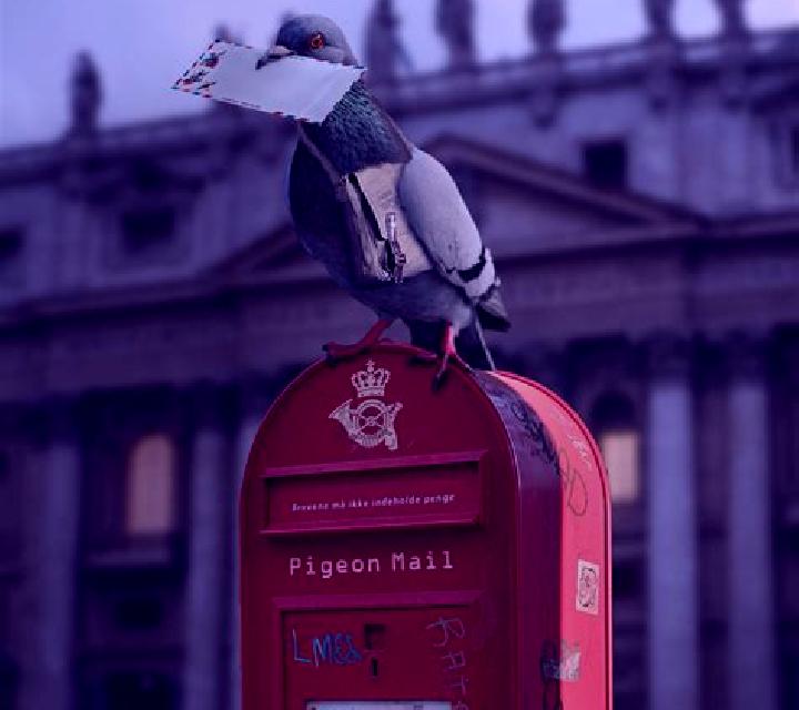 Pigeon Mail slot game