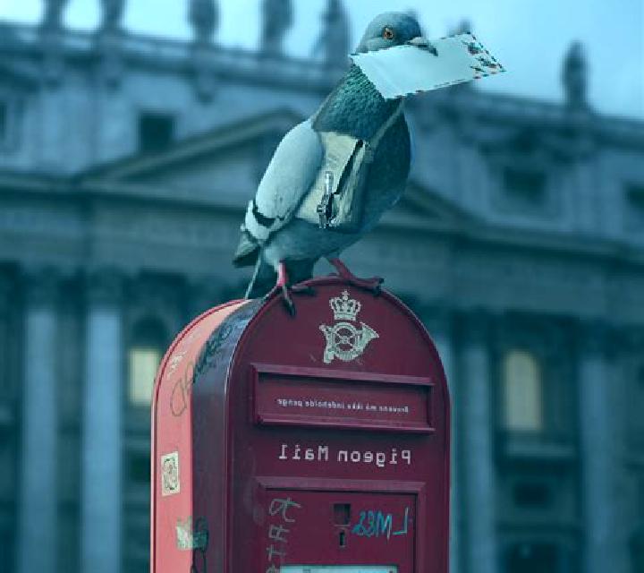 Pigeon Mail slot machine