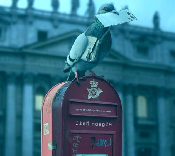 Pigeon Mail slot