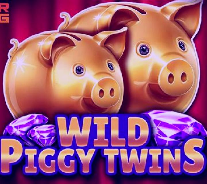 Piggy Bank Twins slot game