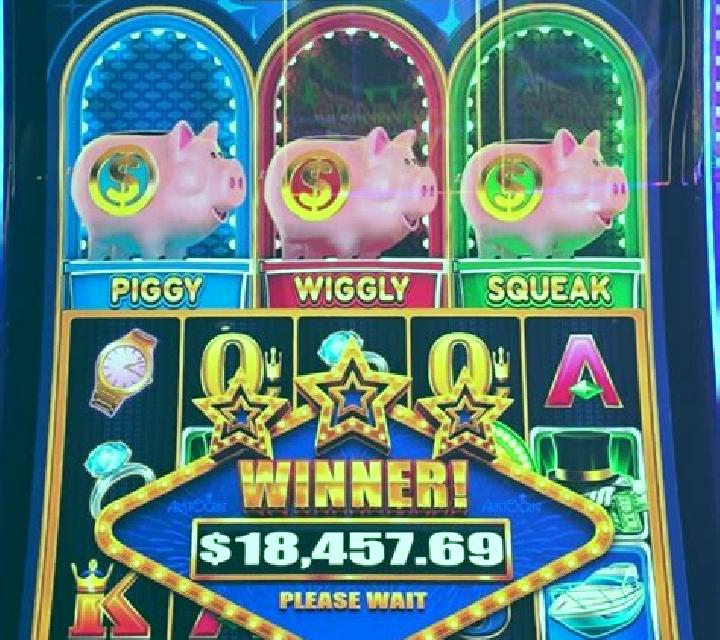 Piggy Winner slot game