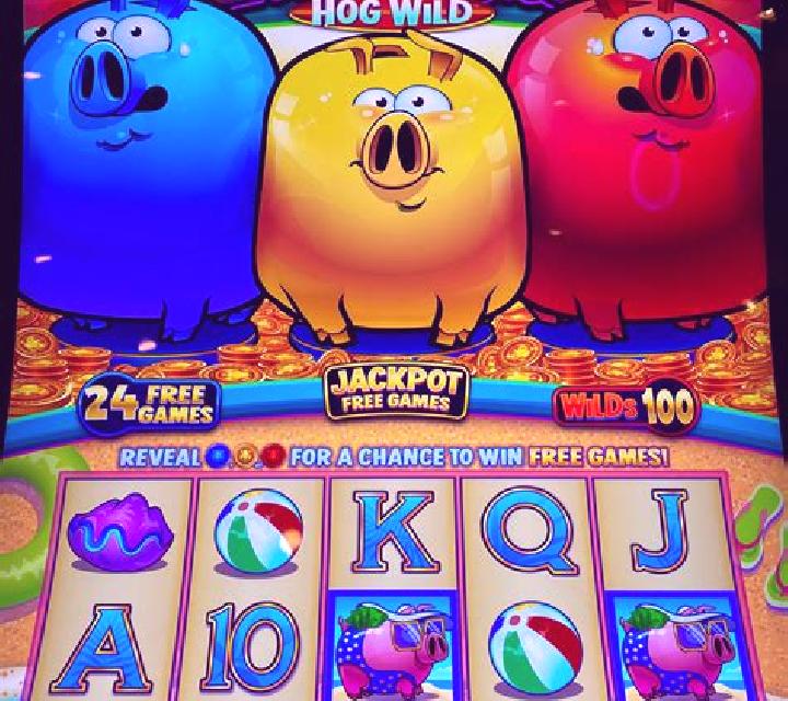 Pilot Piggy slot machine