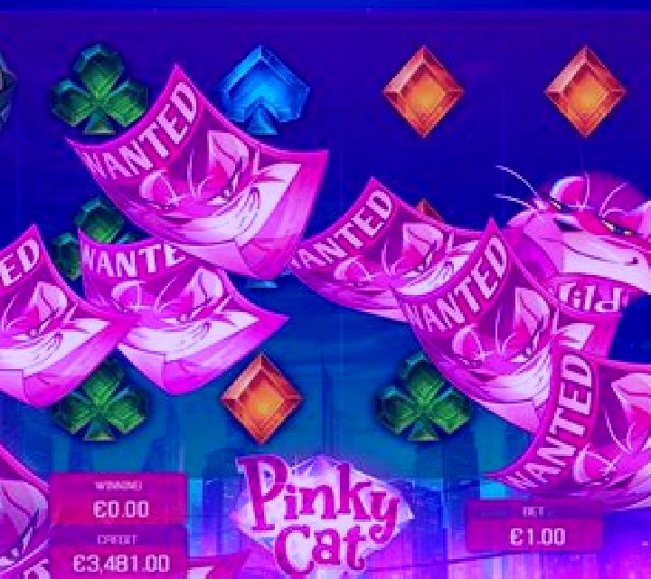 Pinky Cat slot