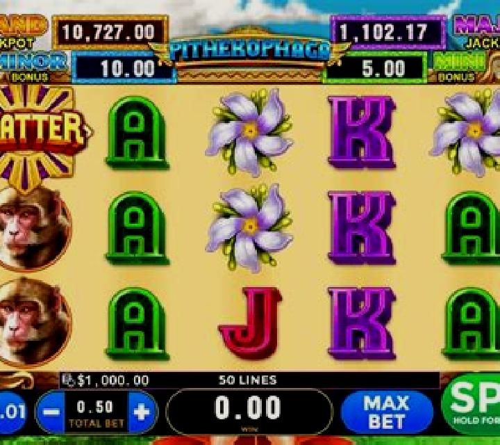 Pithekophaga slot
