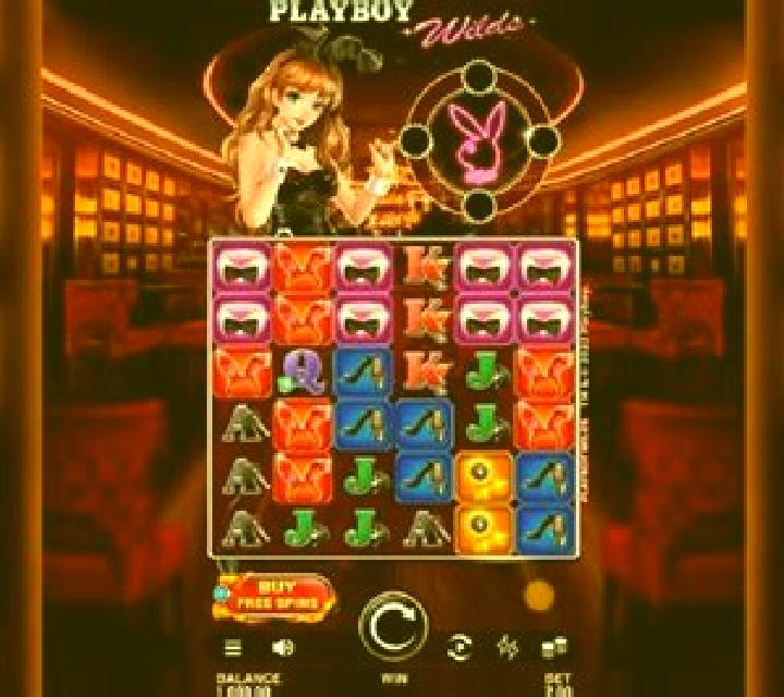 Playboy Wilds slot