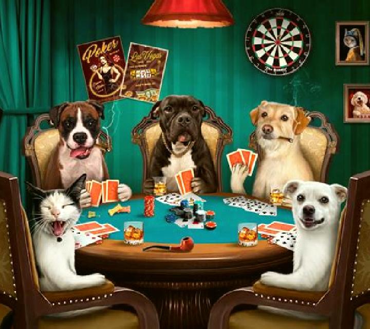 Poker Dogs online slot