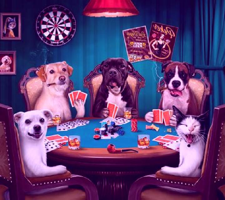 Poker Dogs slot game