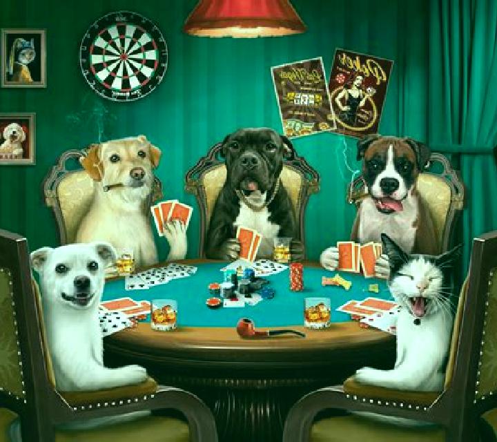 Poker Dogs slot machine