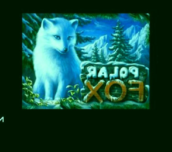 Polar Fox slot